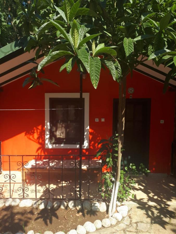 Likya Saklibahce Hotel Kemer  Bagian luar foto