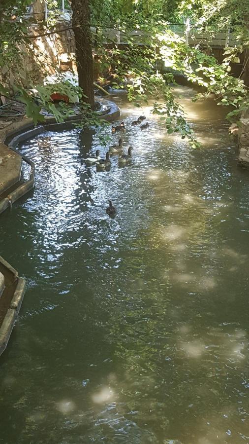 Likya Saklibahce Hotel Kemer  Bagian luar foto
