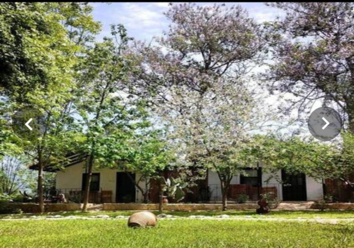 Likya Saklibahce Hotel Kemer  Bagian luar foto